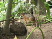 Клевый Парень фотография #34 (источник - https://vk.com/id391001)