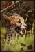 Anderson Wild фотография #10 (источник - https://vk.com/id129897048)