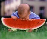 Сергій Коваленко фотография #16 (источник - https://vk.com/id121636106)