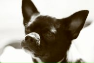 Макс Гашников фотография #46 (источник - https://vk.com/id70243)