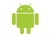 Фотография Шестакова Антона