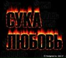 Рома Греб фотография #19 (источник - https://vk.com/id154234425)