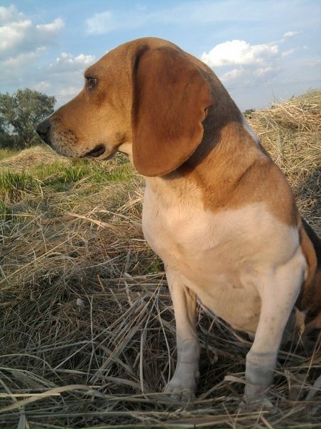 Валентин Ждан фото №46