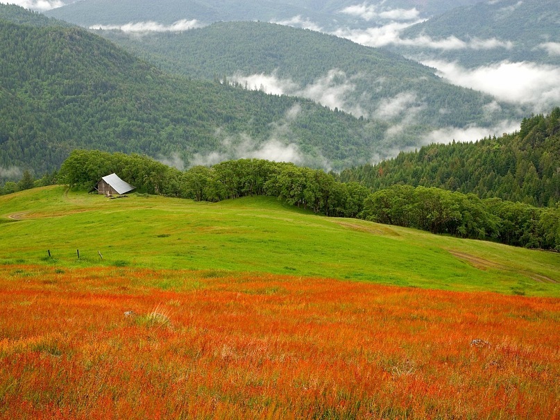 Гриша Аверин фотография #13