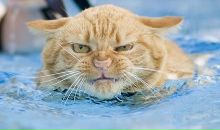 Фотография Подужайло Ольга