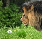 Фотография Жуковой Алёны