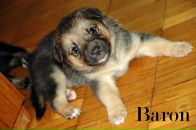 Наталія Діденко фотография #13 (источник - https://vk.com/id3846566)