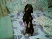 Фотография Короткова Юрия