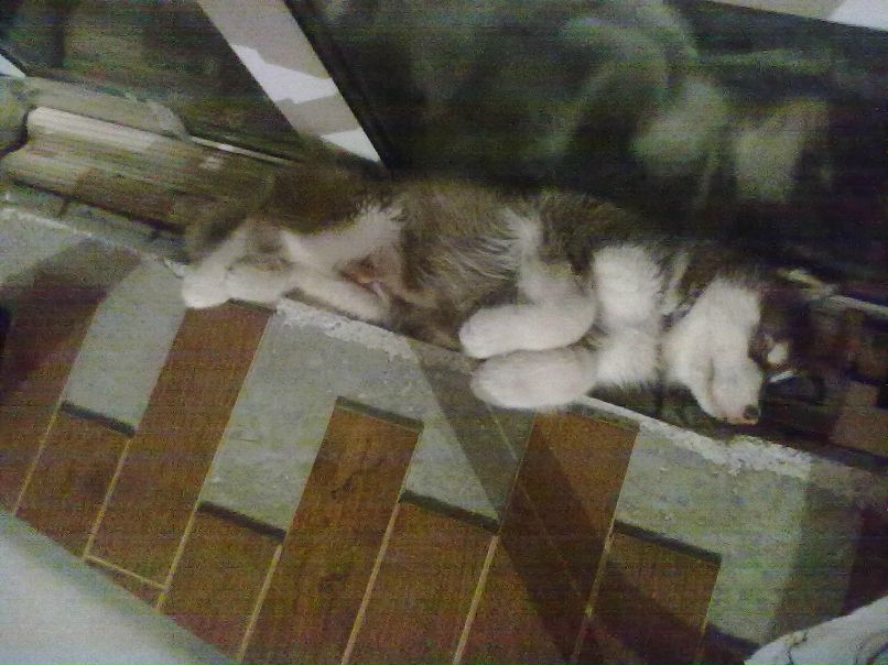 Александр Автаев фотография #12