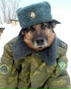 Андрій Павлишен фотография #2 (источник - https://vk.com/id166096612)