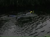 Андрей Бойцов фотография #14 (источник - https://vk.com/id1970985)