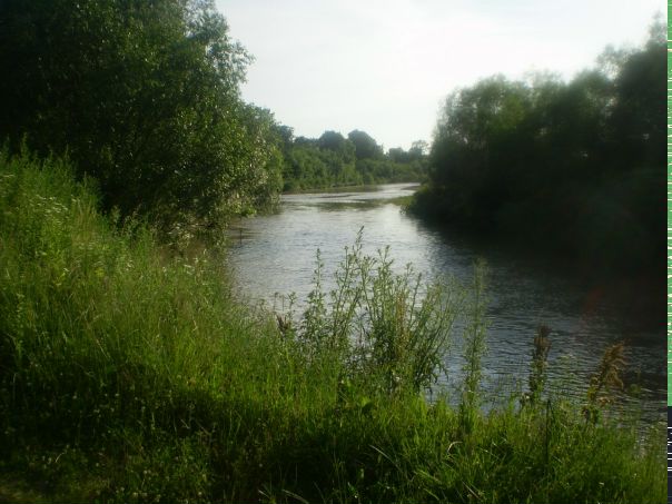 Улян@ Пасєк@ фото №4