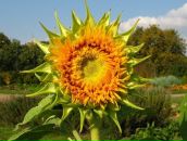 Фотография Ждановой Ирины