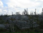 Иван Паньков фотография #36 (источник - https://vk.com/id746503)