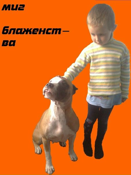 Толик Лысов фото №28