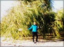 •*голубоглаза Я*•. фотография #38 (источник - https://vk.com/id147304756)