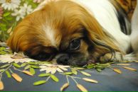 Фотография Малик Анны