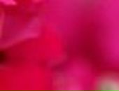 Ірина Бобиляк фотография #11 (источник - https://vk.com/id8948868)