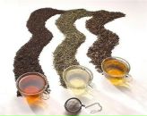 Фотография Шкаринова Льва