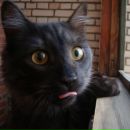 Фотография Проскуриной Алёны