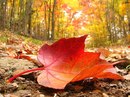 Фотография Александровой Надежды