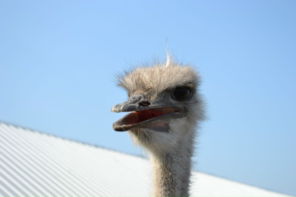 Константин Басалаев фотография #19