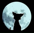 Фотография Никитиной Аси