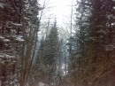 Віка Стефанюк фотография #49 (источник - https://vk.com/id71154160)