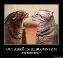 Фотография Садыковой Алины
