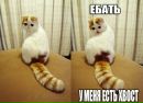 Фотография Пучковской Корнелии