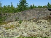 Симас Бумша фотография #23 (источник - https://vk.com/id616533)