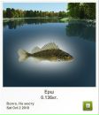 Віталій Пастрама фотография #24 (источник - https://vk.com/id34071171)