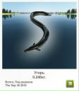 Віталій Пастрама фотография #33 (источник - https://vk.com/id34071171)