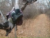 Фотография Шестель Роман