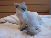 Фотография Канцеляристовой Ангелины