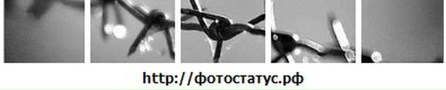 Вадім Оліферчук фотография #41 (источник - https://vk.com/id84613879)