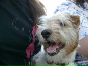 Тетяна Єськова фотография #34 (источник - https://vk.com/id2347817)