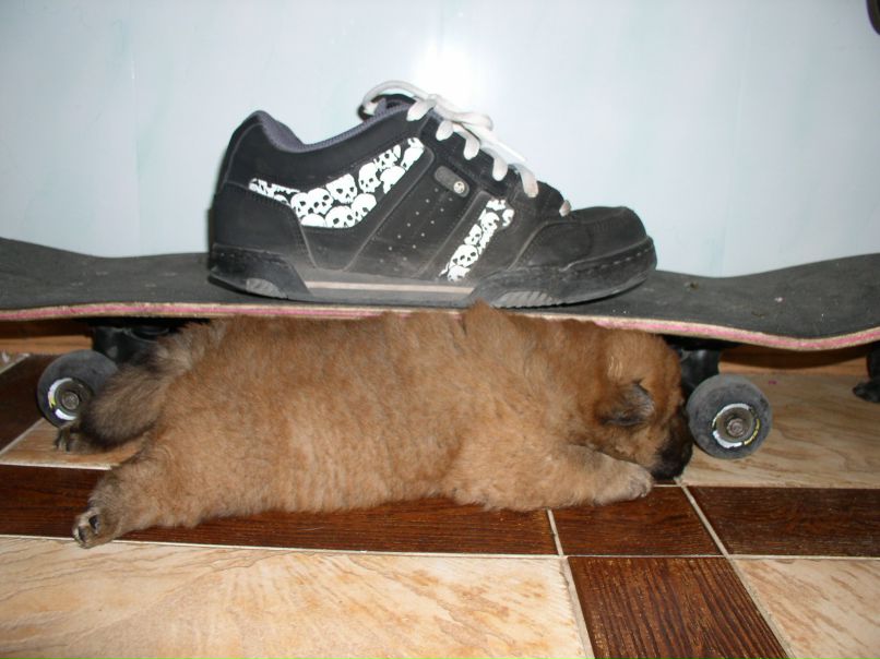 Виктор Матвеев фотография #45