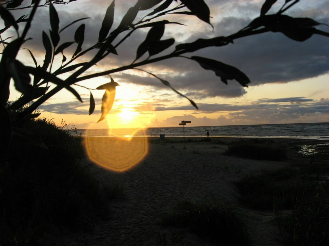 Сергей Левашев фотография #26