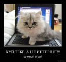 Андрій Піхурко фотография #16 (источник - https://vk.com/id16113506)