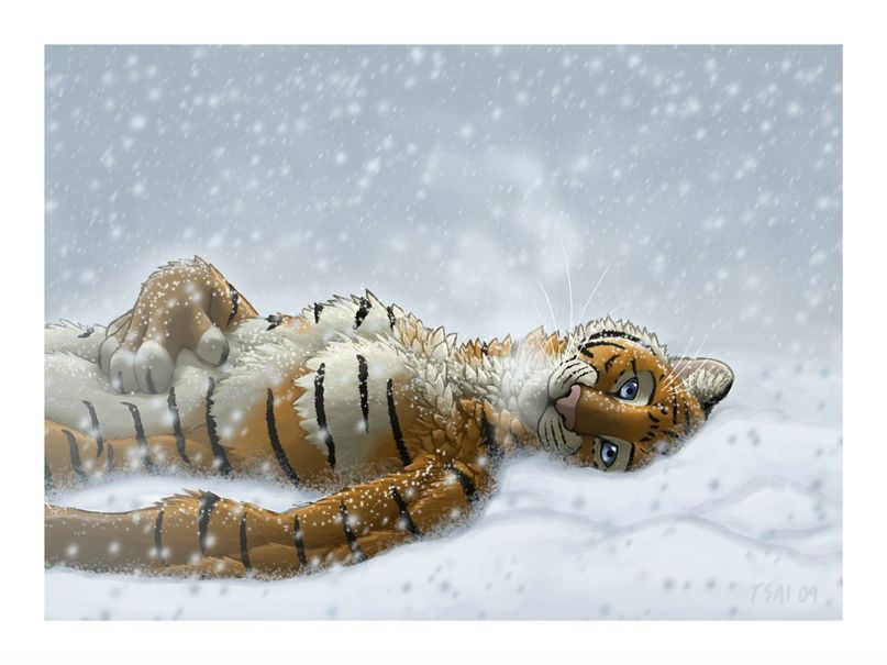 Тёма Тёмик фотография #31