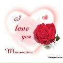 Фотография Виляйкина Романа