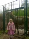 Світлана Максимік фотография #45 (источник - https://vk.com/id98151666)
