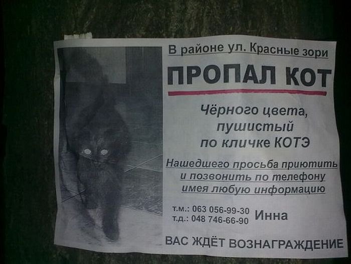 Сергей Мечетин фотография #47