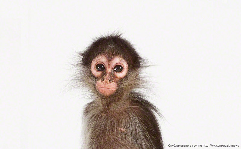 Макс Савельев фотография #50