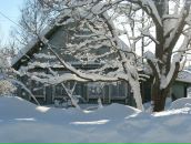 Иван Никулин фотография #25 (источник - https://vk.com/id755602)