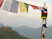 Фотография Адровой Полины